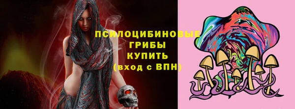 хмурый Абинск