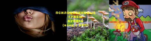 марихуана Абаза