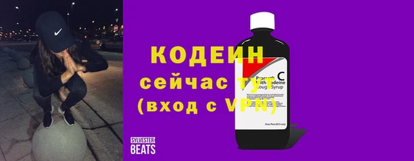 2c-b Пестово