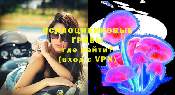 марихуана Абаза