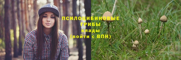 хмурый Абинск